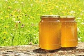蜂蜜梅粉虎豆的做法及作用功效