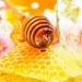 蜂蜜的饮食禁忌