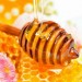 北方常见的蜂蜜种类有哪些？北方蜜好还是南方蜜好？
